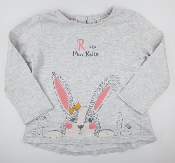 2963aba51e343825b4406b2ad28963db Majice, srajčke dolgi rokav