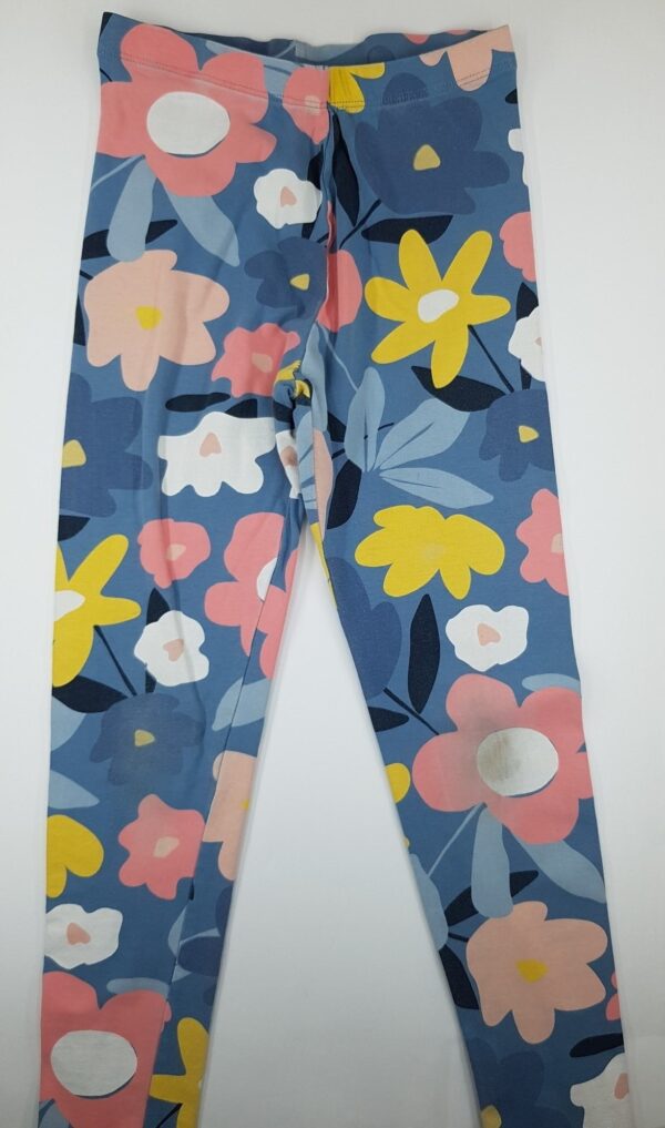 b117a1a5ebb3fb1296289875508eb60b Pajkice