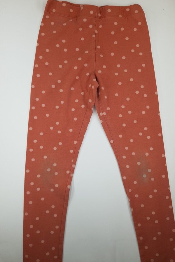 a0b7a13f68d62a14d0e570fef3382345 Pajkice